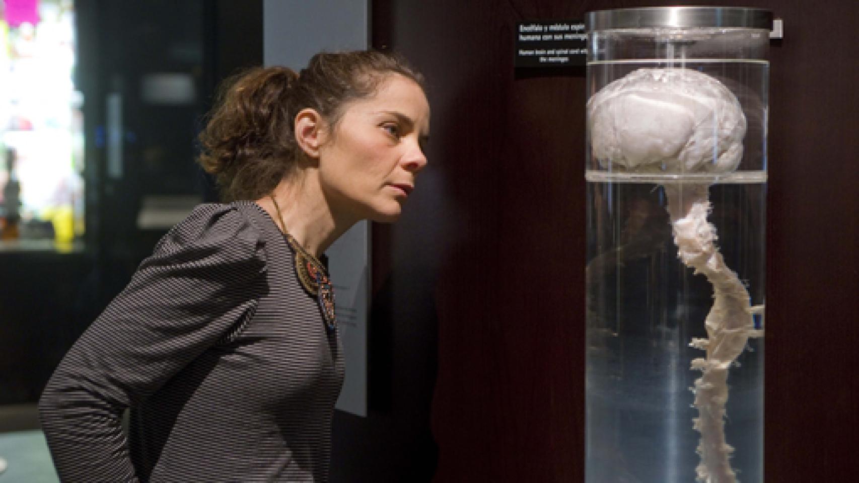Image: El cerebro entra en campaña
