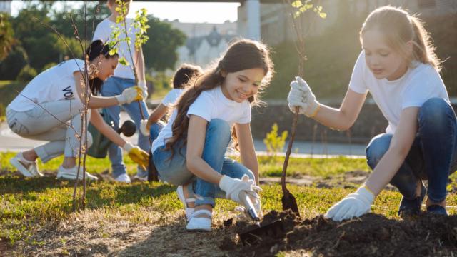 Medioambiente, igualdad e inclusión: las líneas estratégicas de la banca socialmente responsable