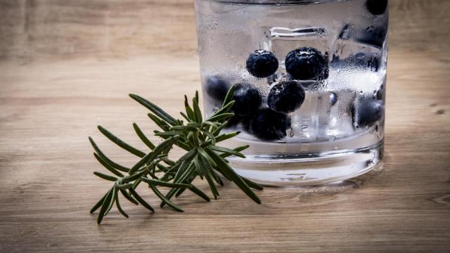 Un vaso de ginebra servido con frutos rojos