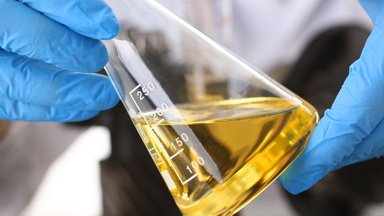 Reconocimiento facial para elegir el mejor aceite de oliva