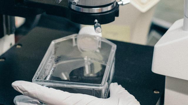 La Fundación Cotec analiza los datos publicados por la Intervención General del Estado.