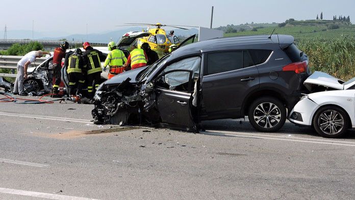 accidente-trafico-fauna