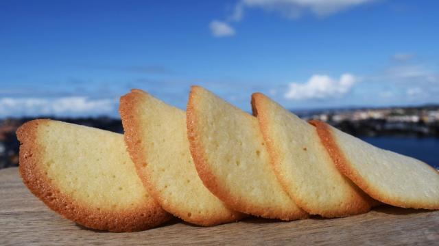 Tejas de coco crujientes, receta rápida, fácil y elegante