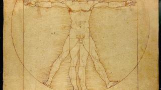 Hombre de Vitruvio