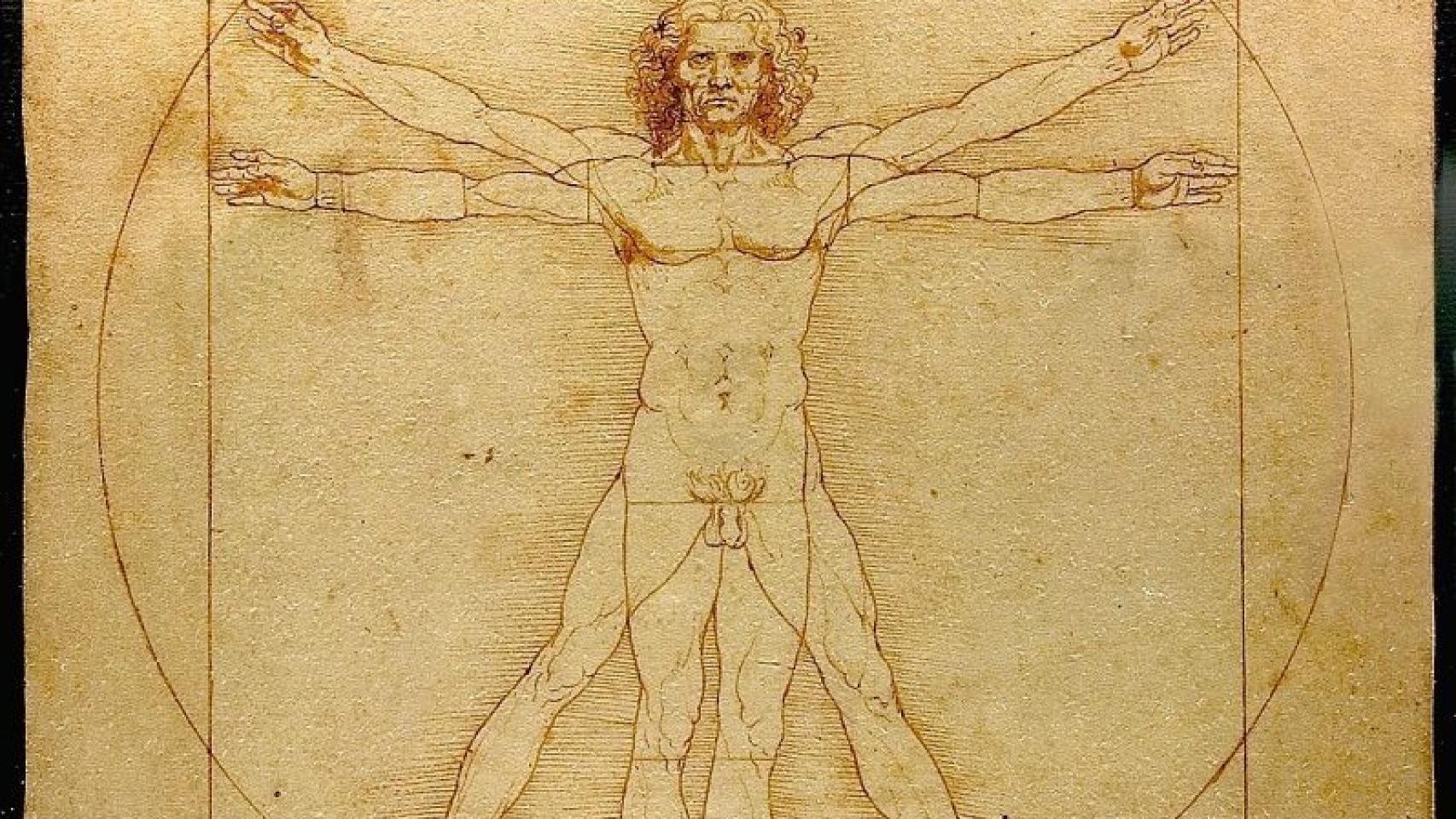 Hombre de Vitruvio