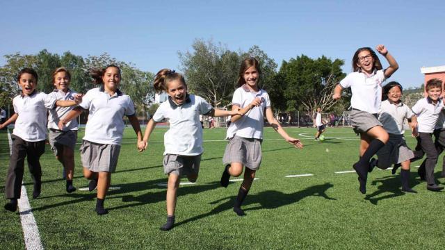 Newton College (Elche)