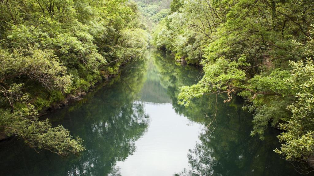 Imagen de las Fragas do Eume