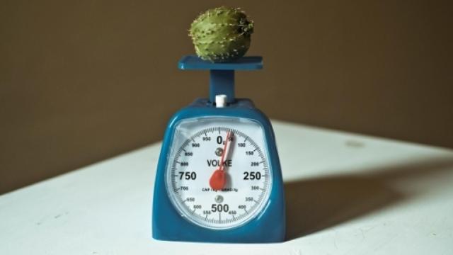 Image: Cristina de Middel, entre el juego y la crudeza