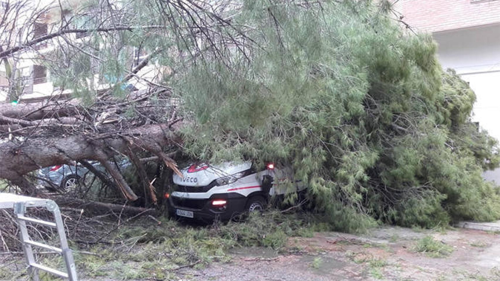 FOTO: Bomberos de Albacete