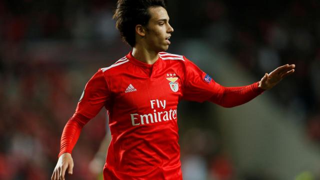 Joao Félix, en un partido con el Benfica