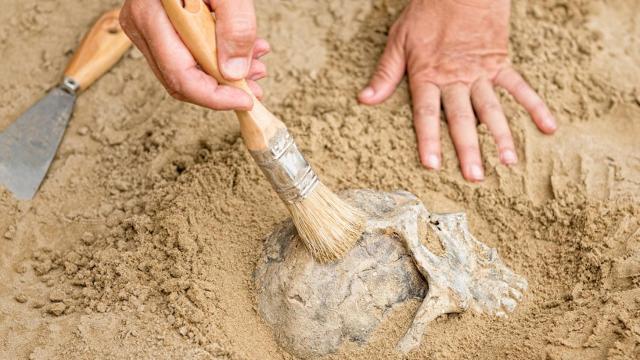 Modelos 3D y escaneos de yacimientos para crear un catálogo digital