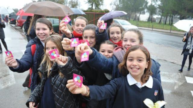 Colegio Les Alzines (Gerona)