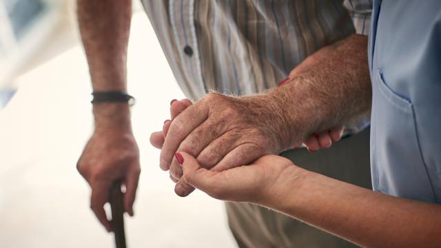 Los mayores, fuente de riqueza en el mundo rural