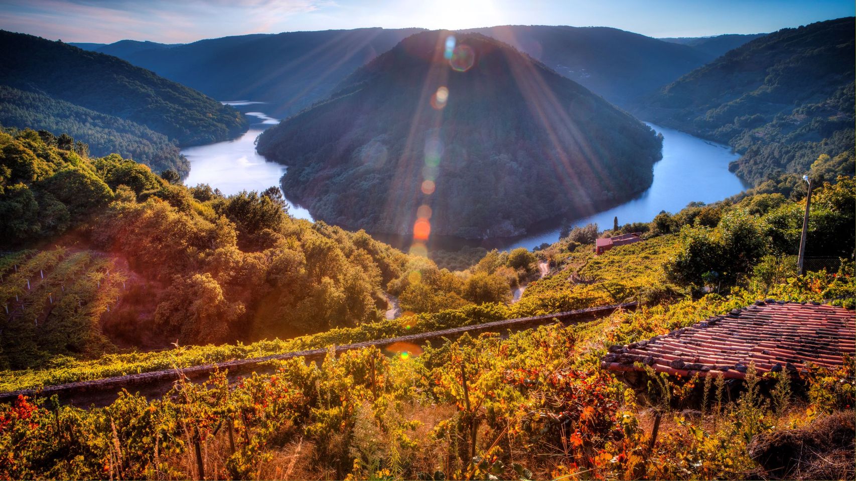 Cañón del Sil, en la Ribeira Sacra.