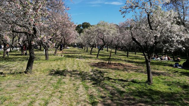 Quinta de los Molinos en una imagen de archivo.