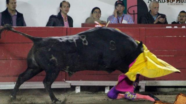 Hilda Tenorio, matadora mexicana, sufre una grave cogida.