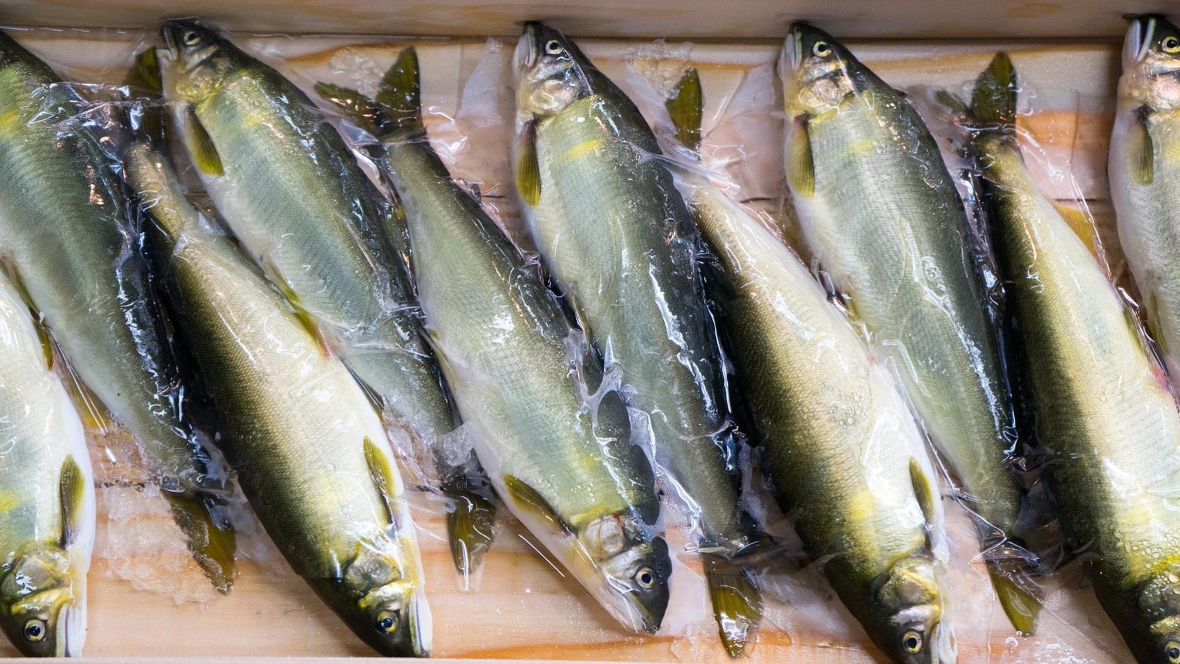 Del pescado se obtiene mucho colágeno para los suplementos.