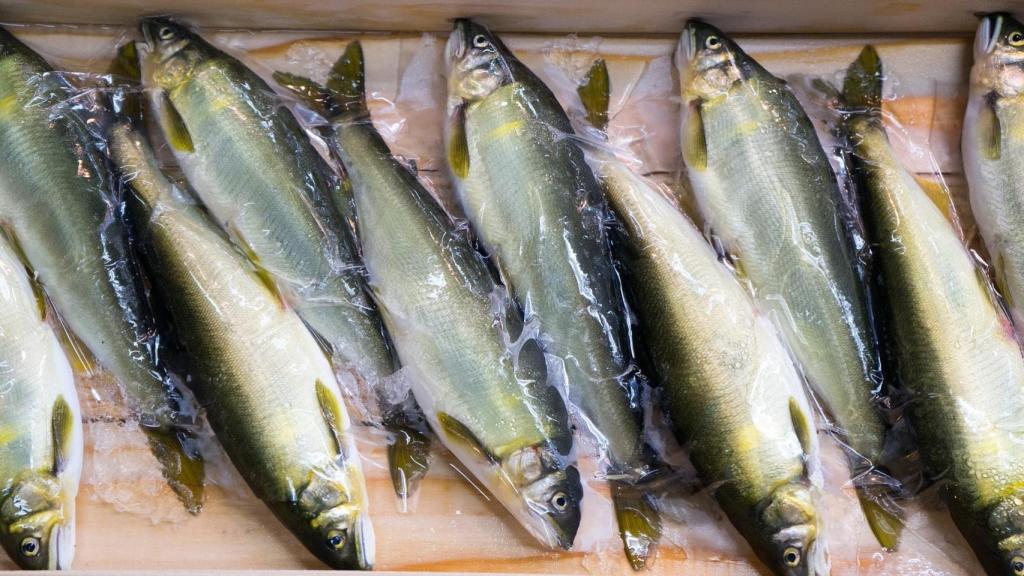 Del pescado se obtiene mucho colágeno para los suplementos.