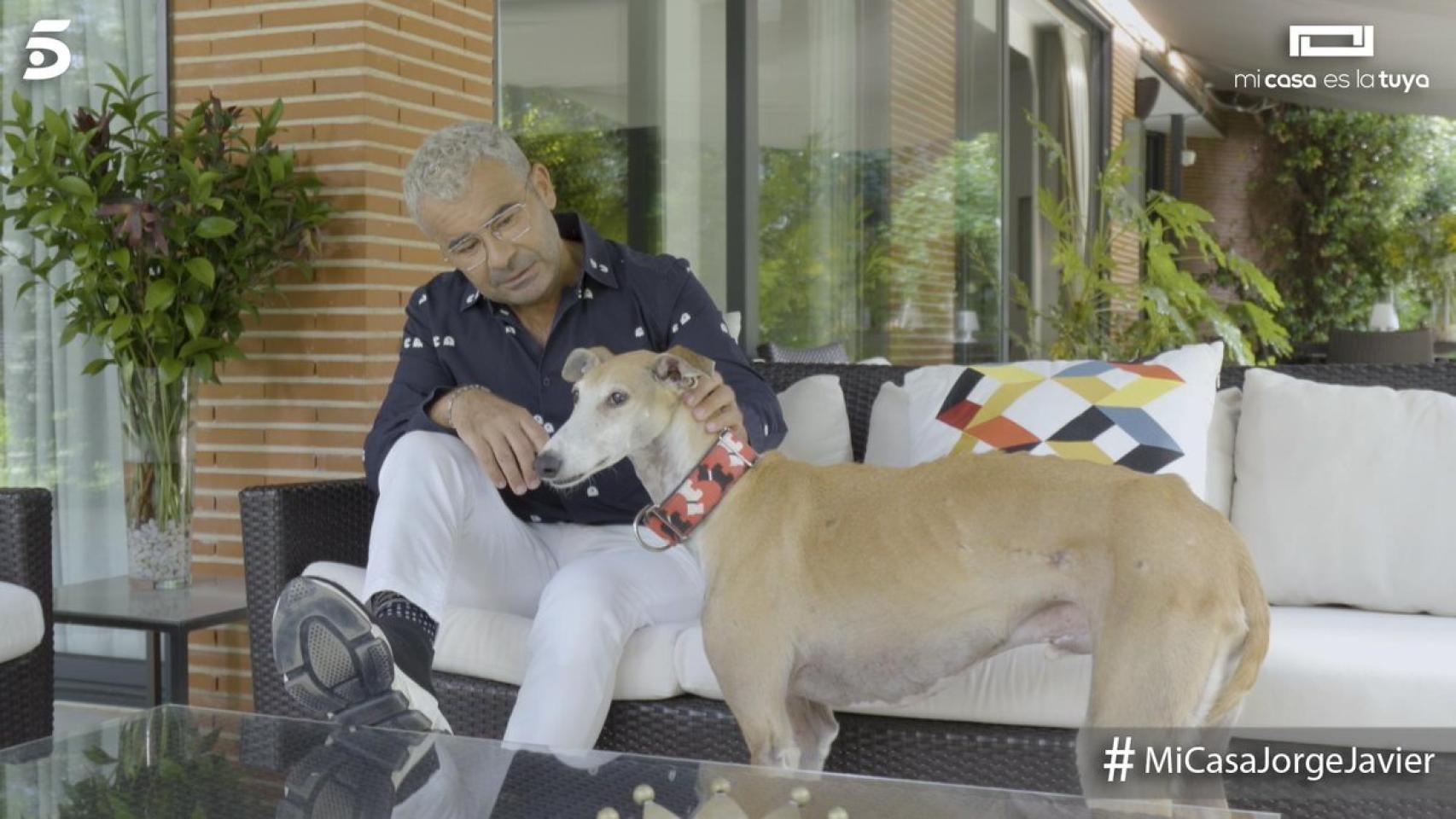 Jorge Javier Vázquez en 'Mi casa es la tuya'.