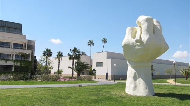 Universidad de Alicante