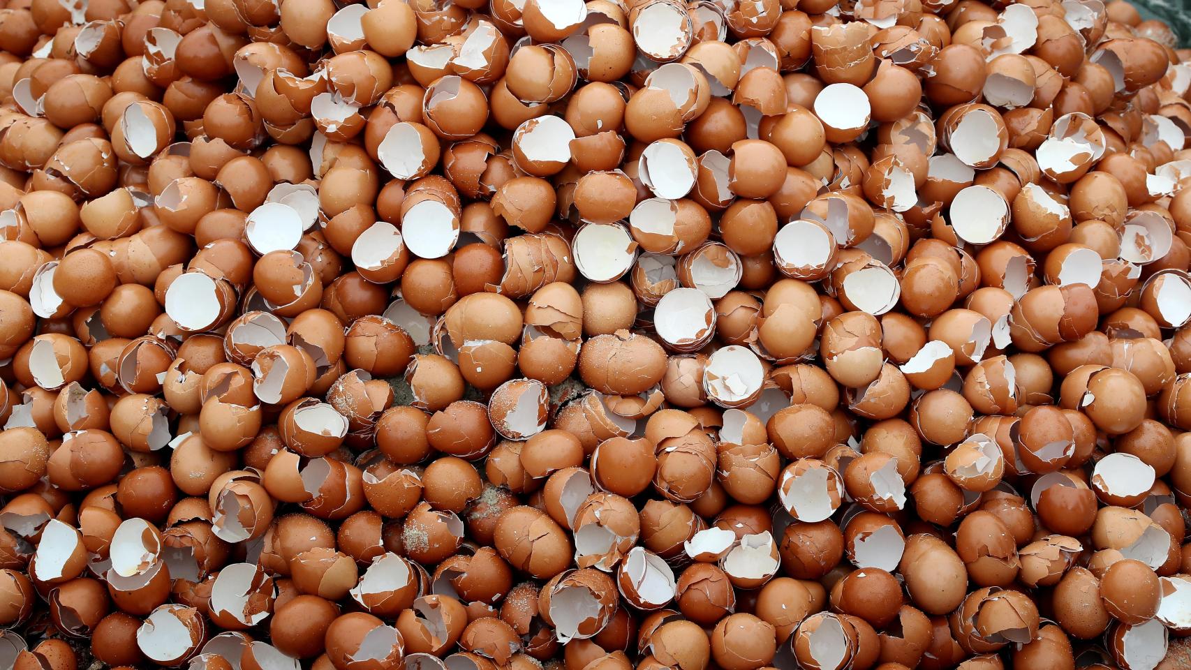 Los huevos es uno de los alimentos con contenido alto en colesterol.