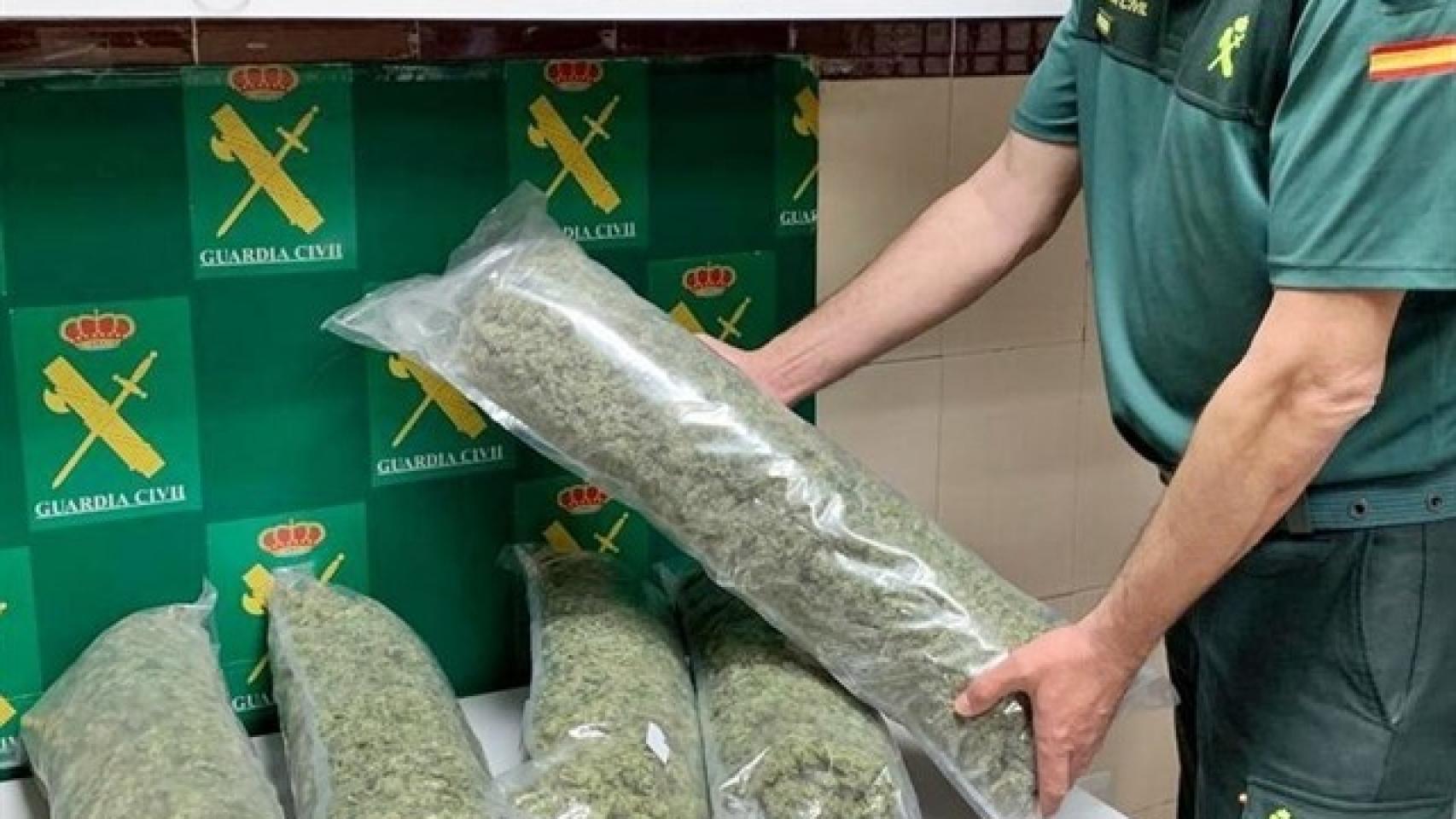 Imagen de la marihuana incautada por la Guardia Civil