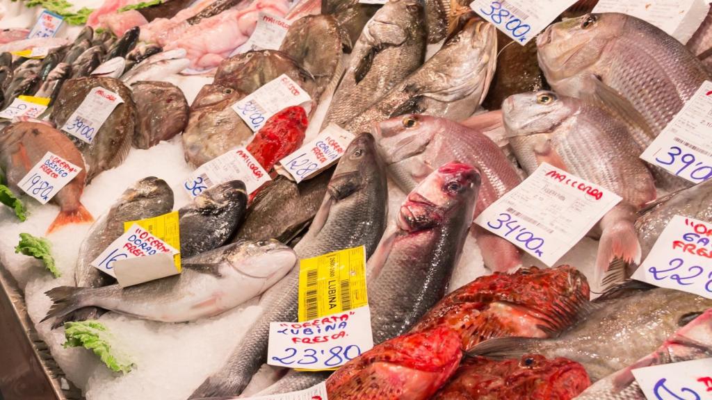 Un montón de pescados en el mostrador de una pescadería.