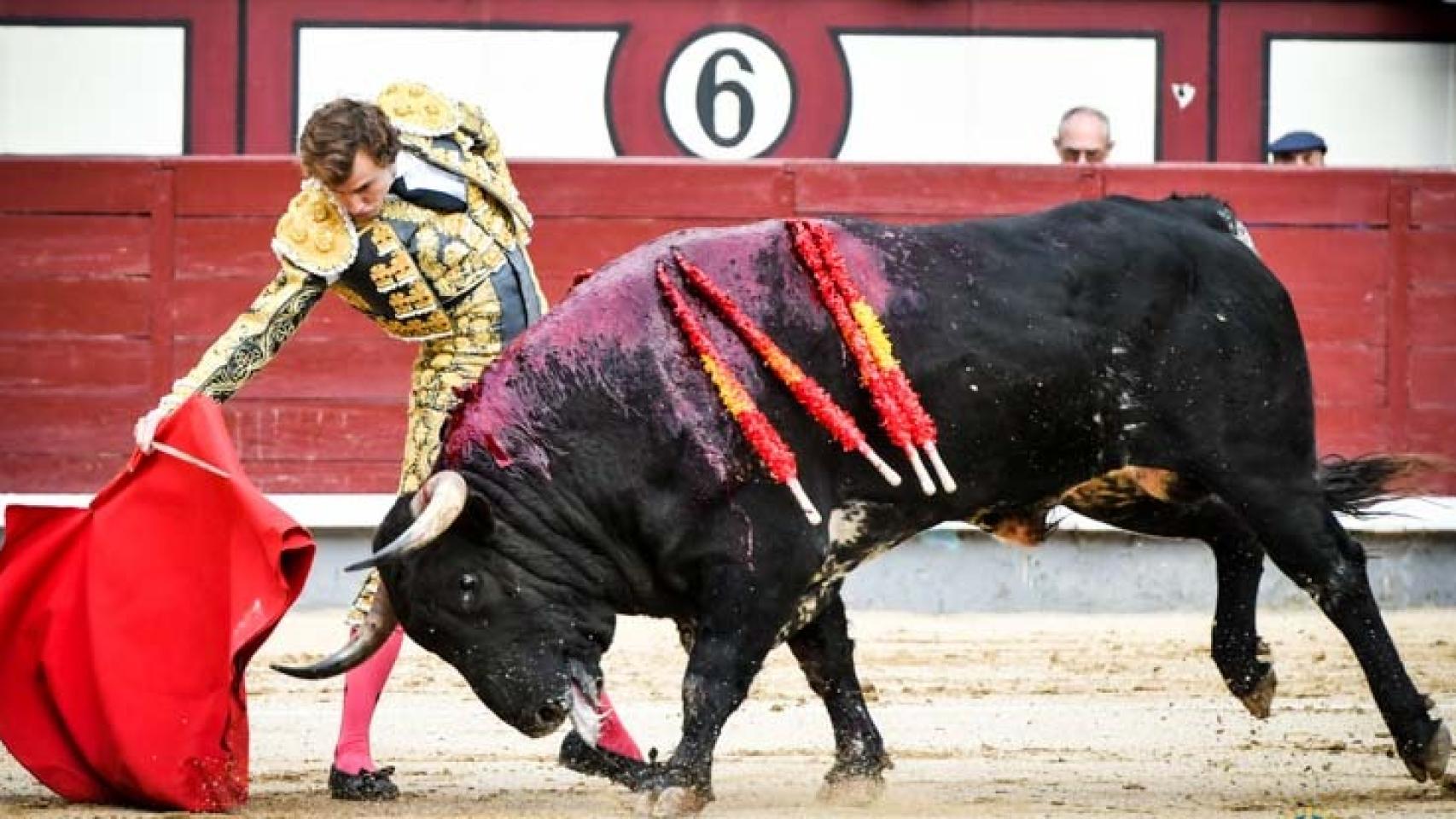 Derechazo de Román al alto sobrero de Torrealta