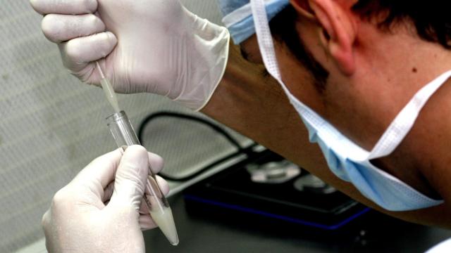 Instantánea de un miembro Instituto Bernabéu en pleno trabajo.