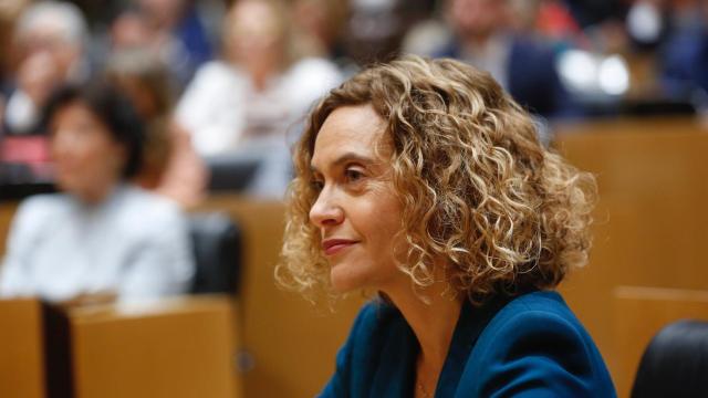 Meritxell Batet, presidenta del Congreso de los Diputados.