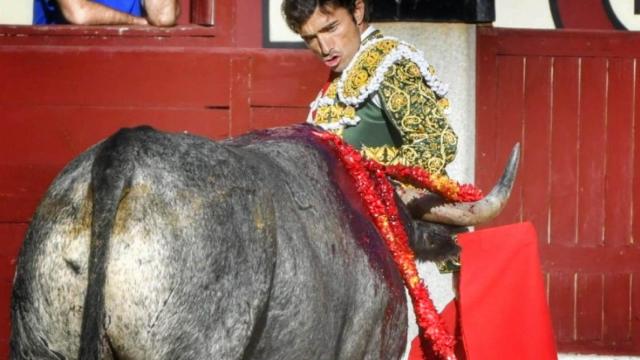 Robleño, cruzándose al pitón contrario del primero