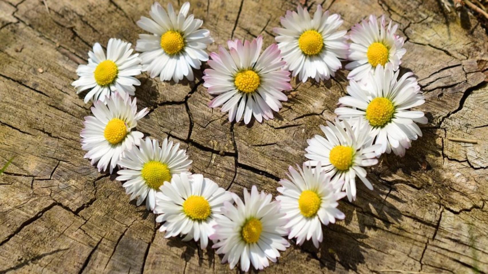 flor