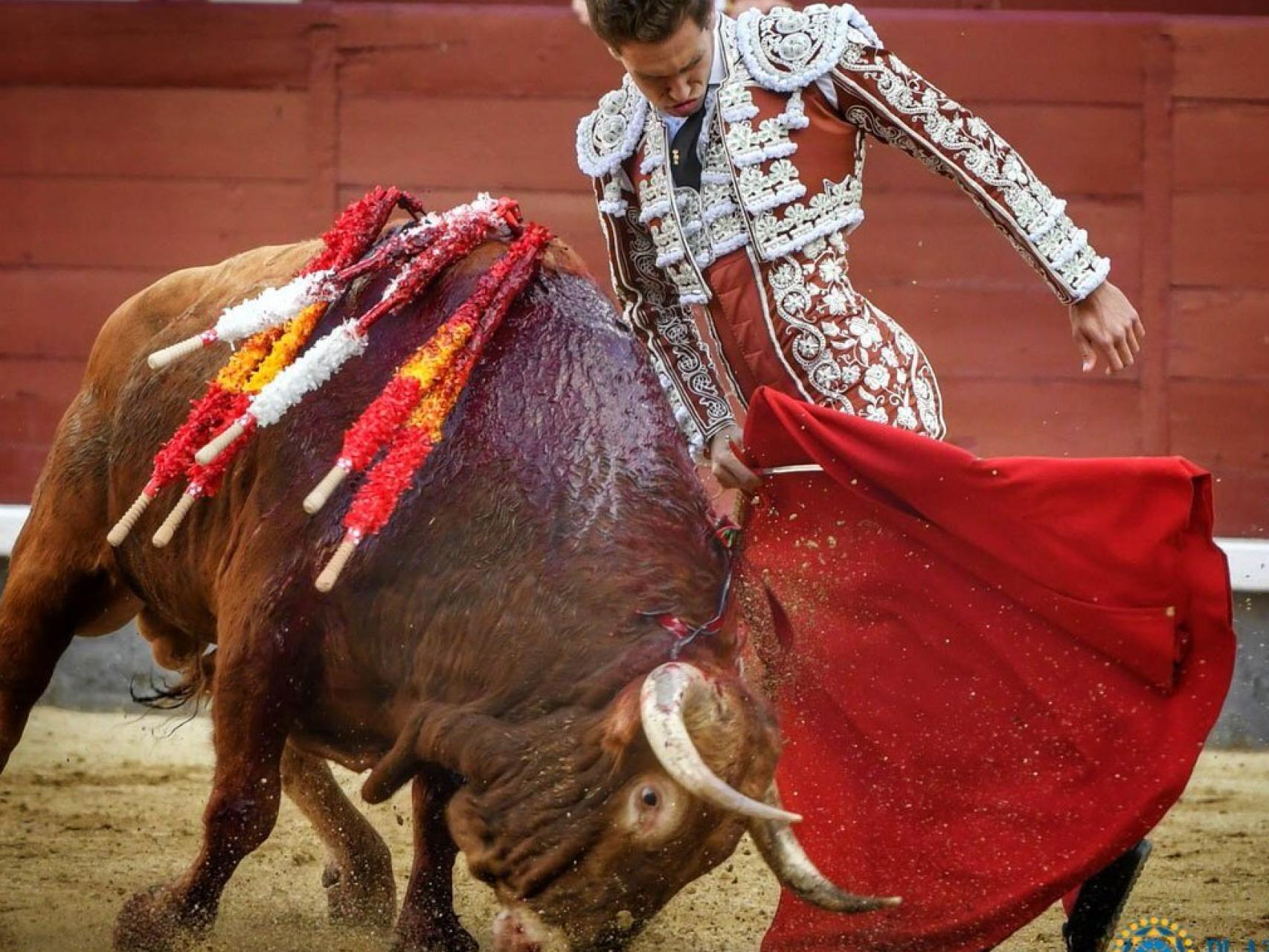 Trincherazo de Ginés al extraordinario 'Poeta'