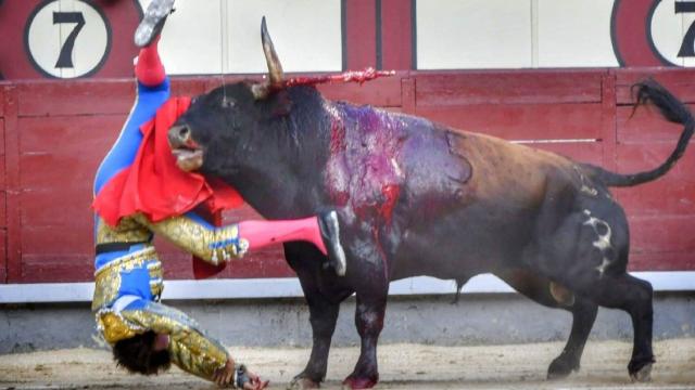 Cornada sufre una grave cornada justo al entrar a matar