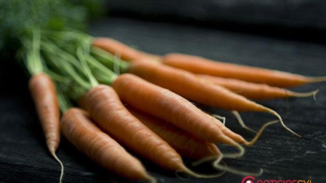 zanahorias-ipc-precios