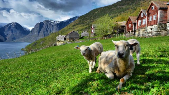 Noruega, destino sostenible