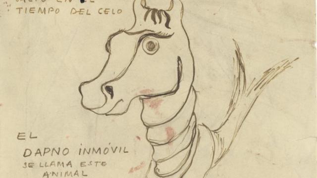 ANIMALARIO FANTASTICO