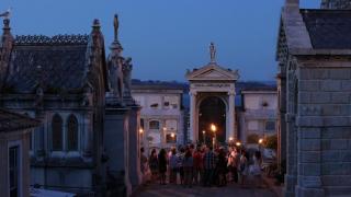 El concello organiza visitas guiadas nocturnas