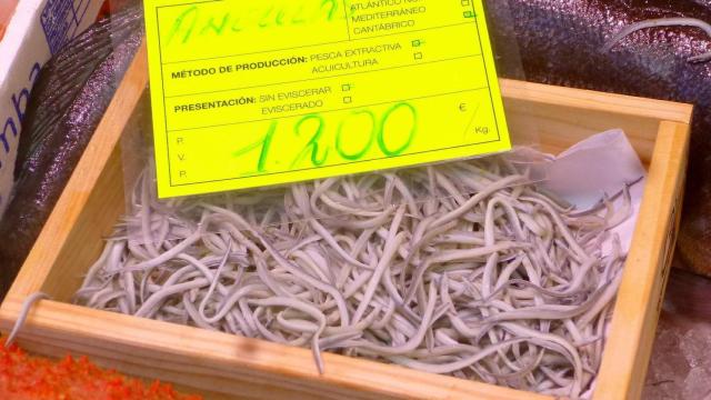 Un restaurante asturiano pagó recientemente 8.135 euros por un kilo de angulas.
