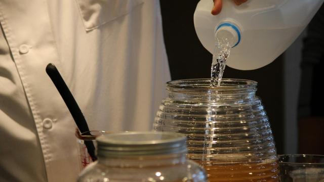 Kombucha: la bebida de moda