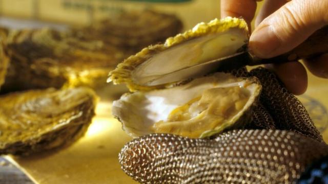 Ostras, un alimento que en mal estado puede causar intoxicaciones alimentarias.