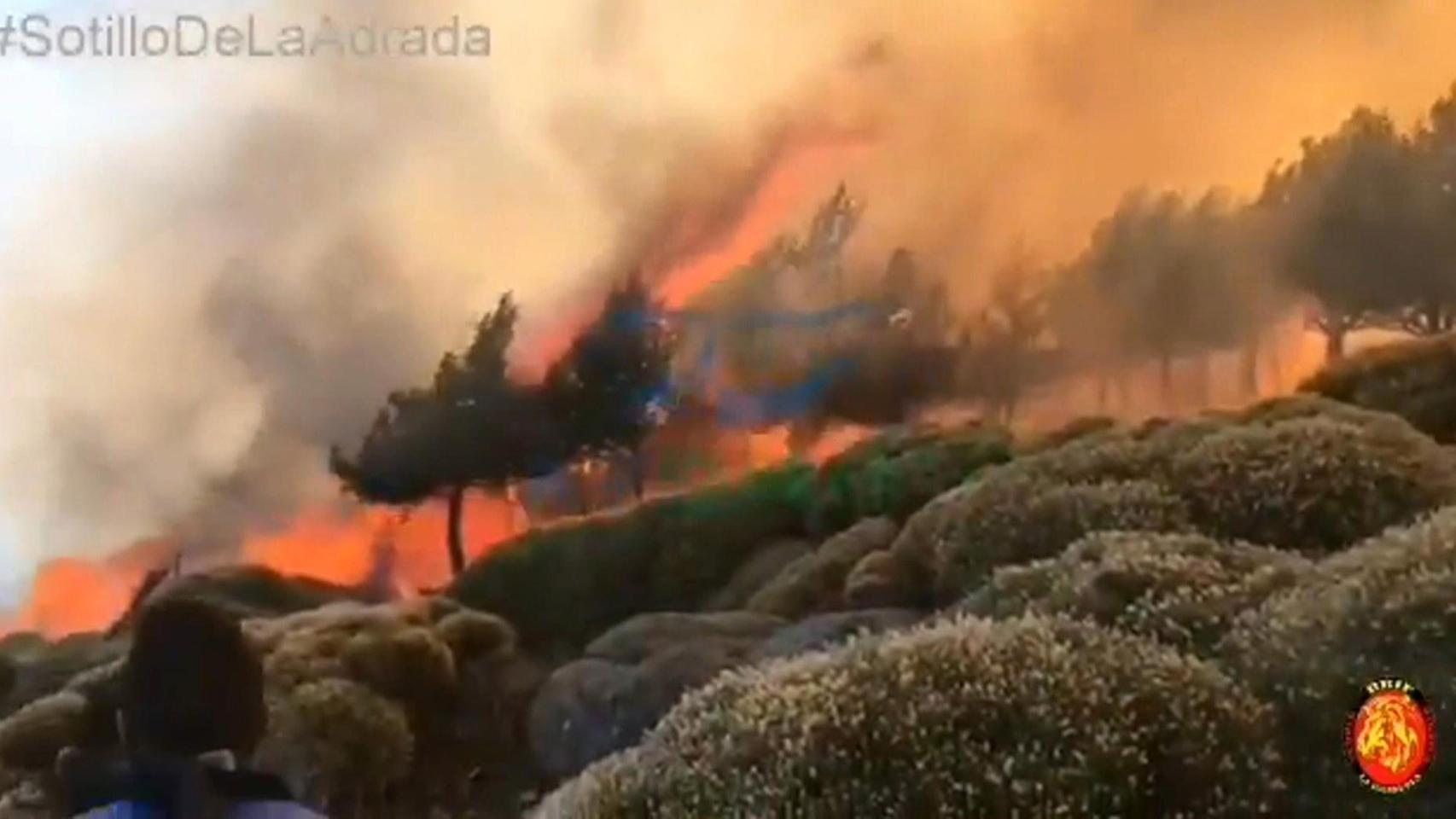 El incendio en Sotillo (Ávila).