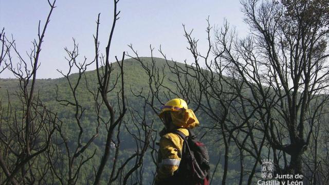 Imagen de un bombero forestal de la Junta de Castilla y León.