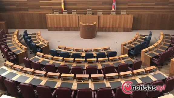 Las Cortes de Castilla y Leon (12)