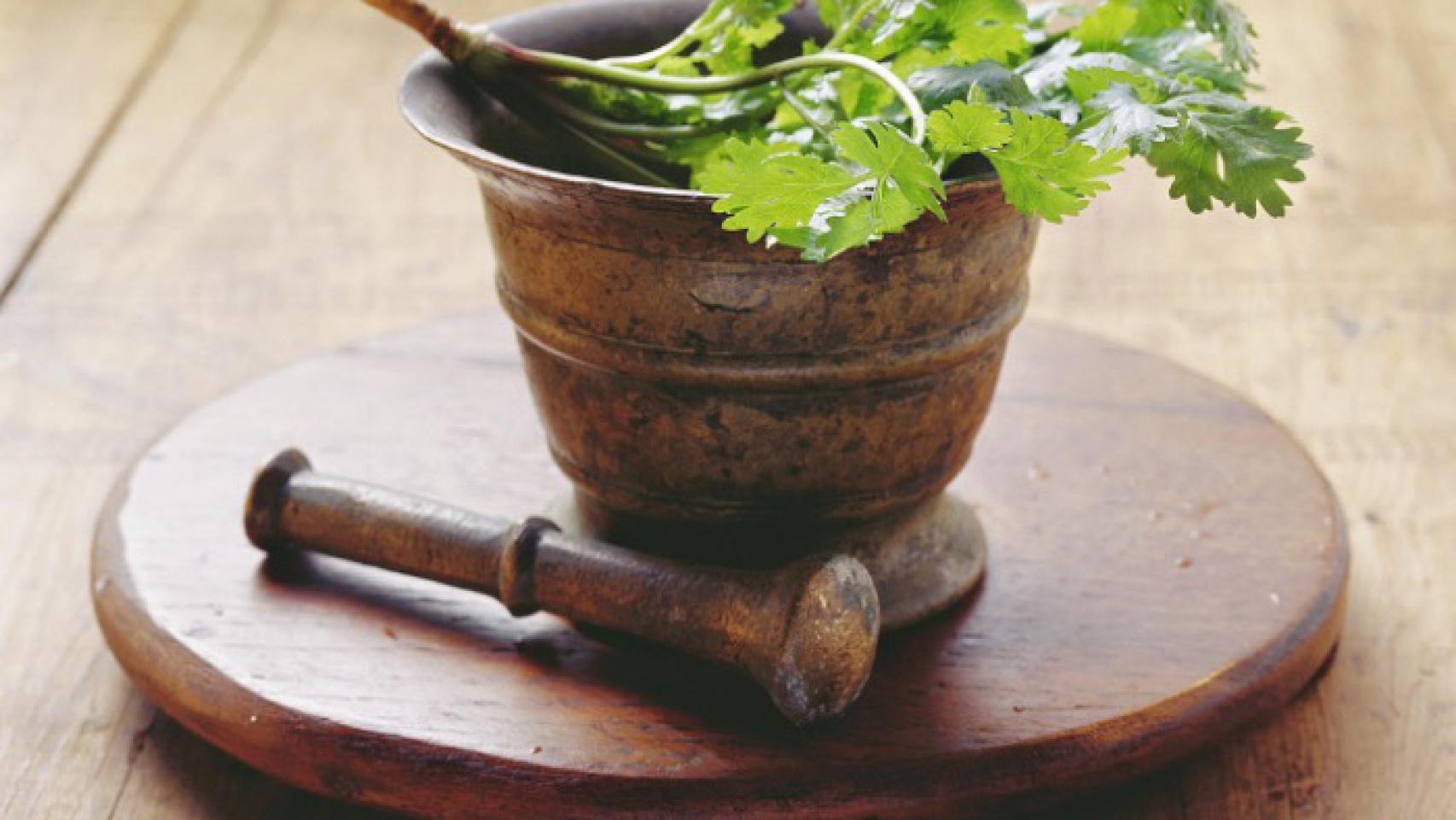 Cilantro.