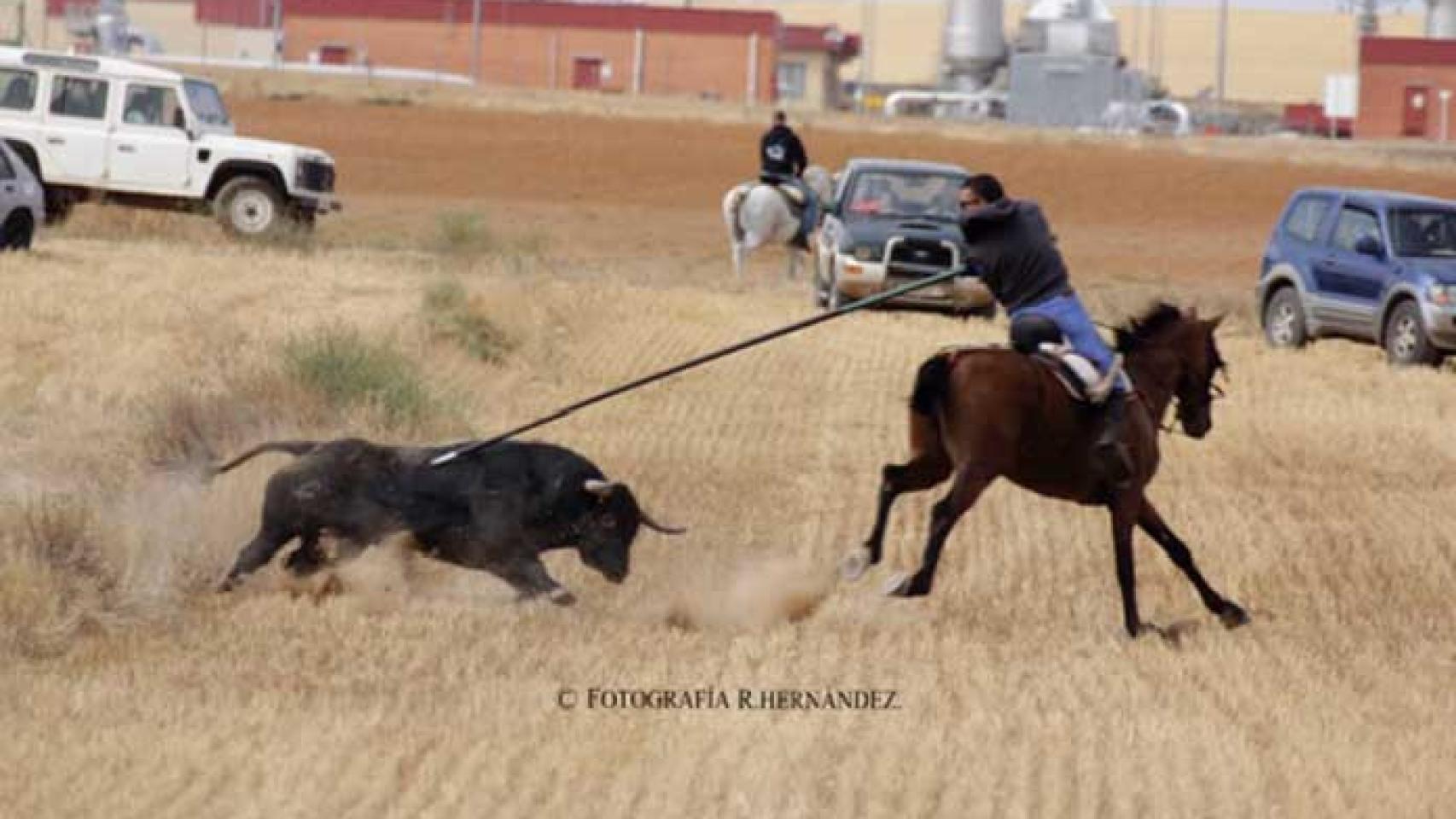 Castilla y León
