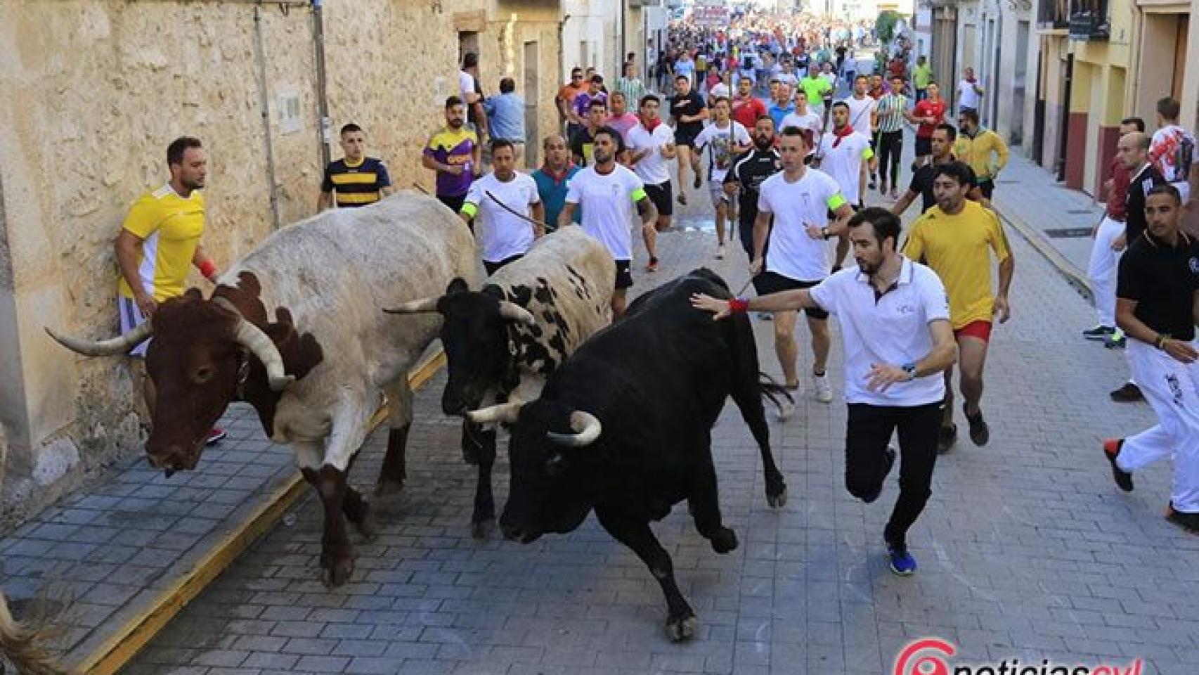 Castilla y León