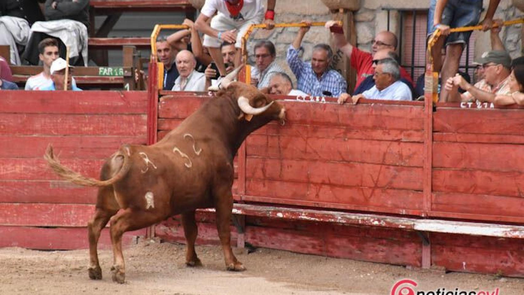 Castilla y León