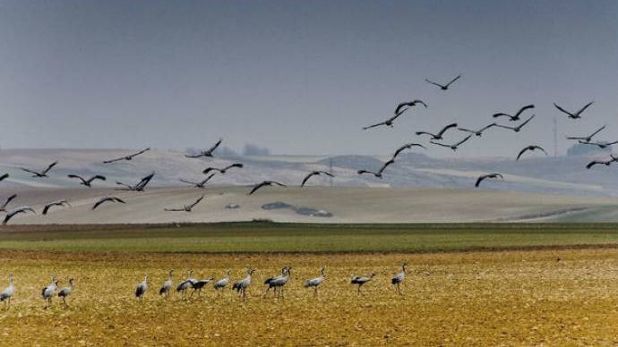 La Laguna del Hito