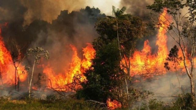 Varios estados han declarado el estado de emergencia por la voracidad del incendio